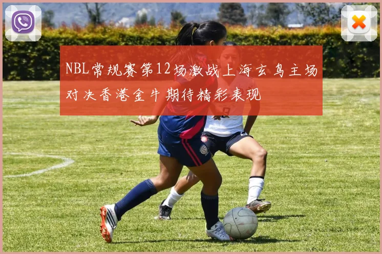 NBL常规赛第12场激战上海玄鸟主场对决香港金牛期待精彩表现