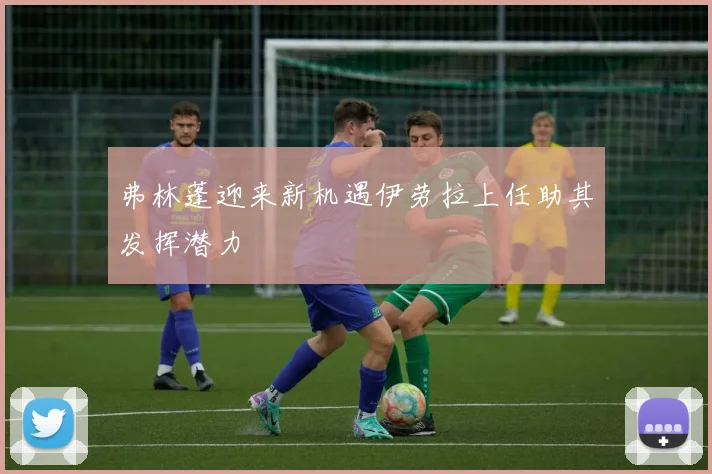 弗林蓬迎来新机遇伊劳拉上任助其发挥潜力